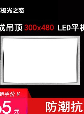 集成吊顶灯集成吊顶LED平板灯30*48cmLED厨卫面板灯300*480mm