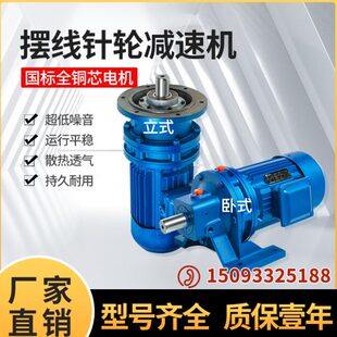 摆针式 行星摆线针轮减速机小型立卧式 减速器国标铜芯电机一体厂家