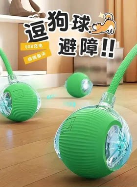 狗狗玩具自动逗狗球宠物小狗猫咪自嗨解闷耐咬电动智能逗猫球jh