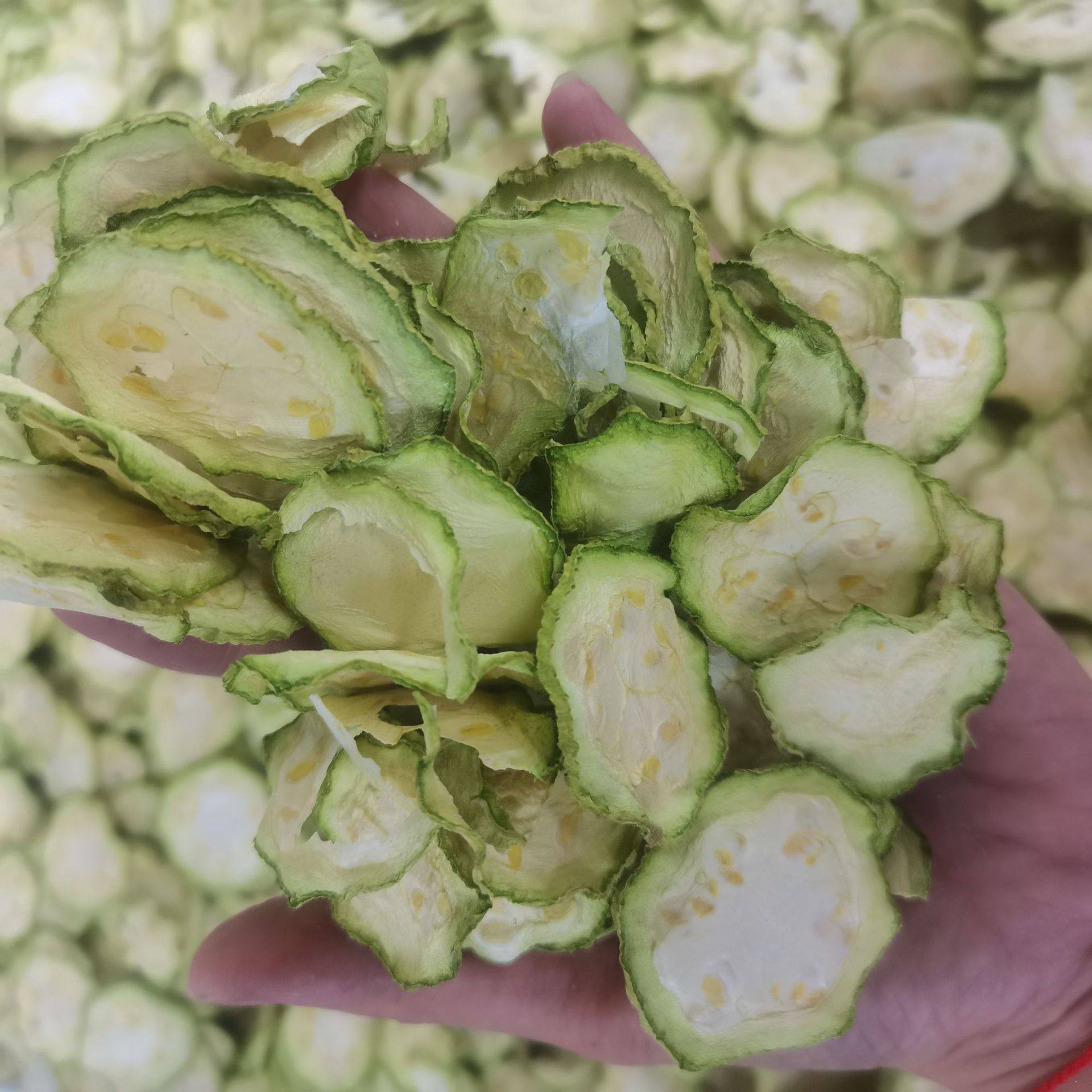 蘑菇豆角烘干机全自动大型 空气能萝卜亚瓜烘干机 亚瓜烘干设备