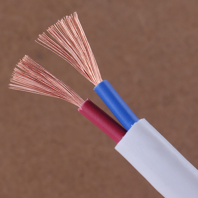 电线软线户外纯铜电缆线家用2芯 2.5 4J 6平方铜芯护套线插头带线