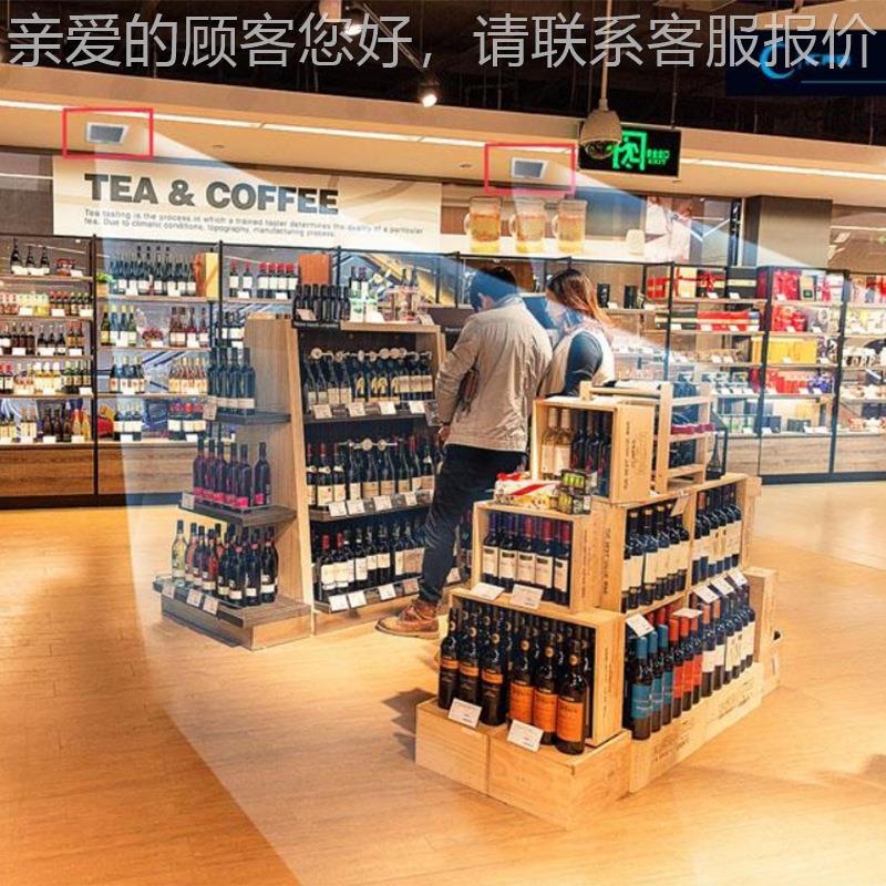 场商超市便利店定向语音活动宣箱传-DDC91音喇 地铁站应急广播定