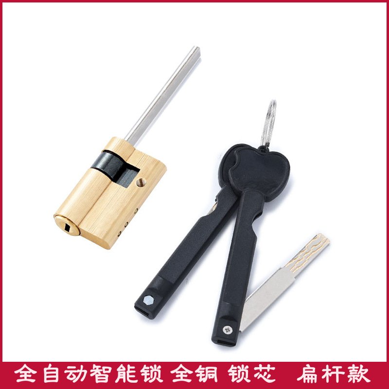全铜锁芯全自动指纹锁专用防盗门超C级双面叶片应急折叠钥匙2把