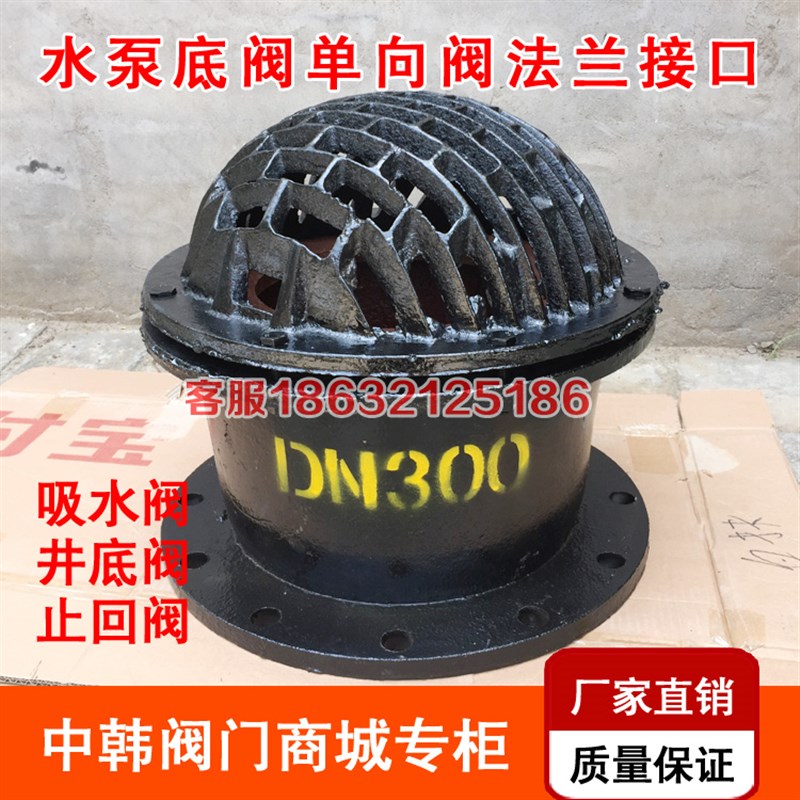 H42X-6法兰底阀 单向阀止回阀铸铁水泵底阀DN50 80 100 150 200