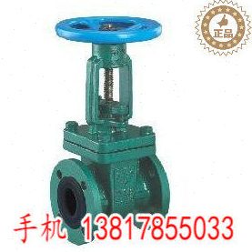 Z41J衬胶闸阀 DN40 50 65 80 100 125 150 200