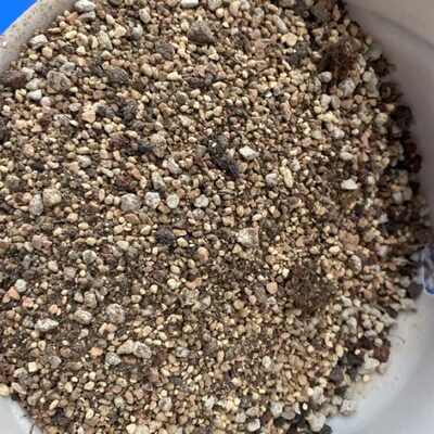 东云麦秆溏心多肉植物颗粒土8.5成左右一份2.5公斤EMS包邮