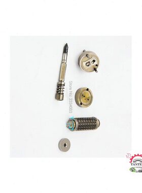 F00GX17004压电喷油器大修包适用0445 116 0445 117