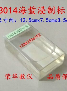 海蜇浸制标本 J43014 初高中 生物 实验观察器材生物类 教学仪器