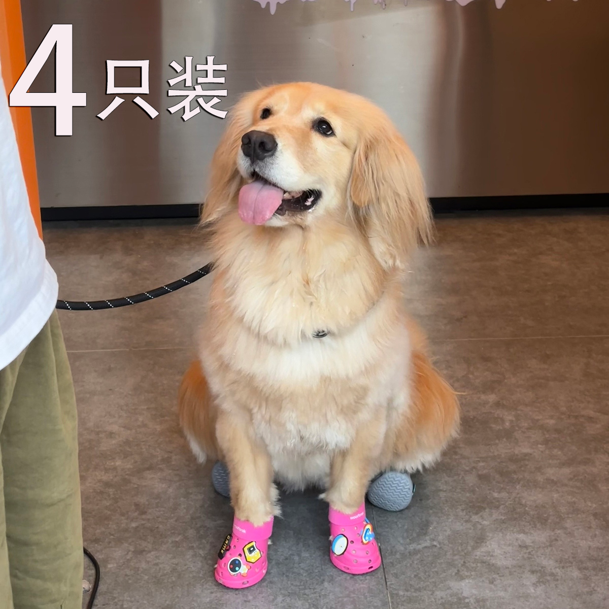 金毛专用狗鞋洞洞鞋保护肉垫宠物狗外出防脏烫脚冻伤户外出行上镜
