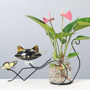 水养水培玻璃花瓶透明绿萝铜钱草红掌植物卡通花器桌面鲜花插花盆