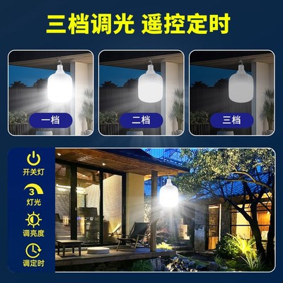 太阳能板户外庭院照明灯家用室内专用2025新型款一拖二充电池灯泡
