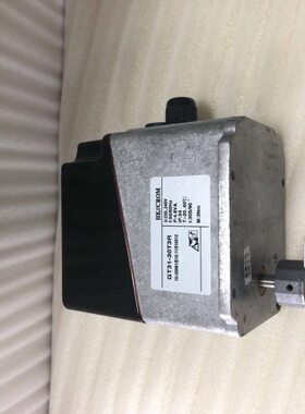 GT31-30T3R 电动执行器,2轮30秒反馈GT31-05T3