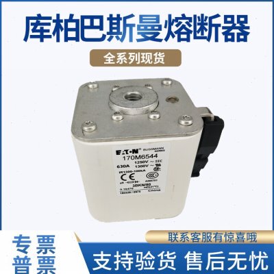 170M6540 170M6541 170M6542 170M6543 170M6548巴斯曼熔断器原装