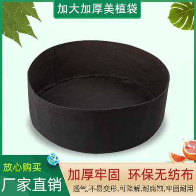 植物袋种植蔬菜育苗生长袋毛毡阳