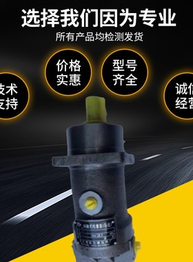 斜轴式柱塞泵2F10R马达A2F10/12/28/45/55/63/80/107/125/160R2P3