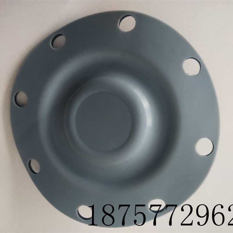 格兰富安度实计量泵膜片ALLDOS加药泵配件DMX226 DMX A 190隔膜片