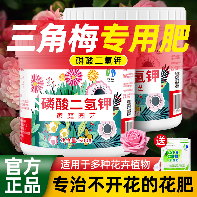 三角梅专用磷酸二氢钾室内阳台花卉盆栽促开花治黄叶通用型水溶肥