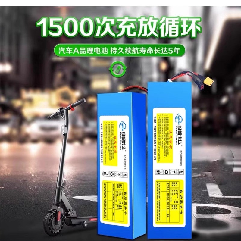 电动车锂电池48V10a12a滑板车36V喜德盛电瓶车60V15a希洛普锂电池
