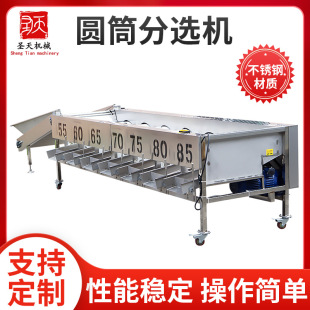 定制柑橘分选机 苹果洋葱圆筒分选机器厂 滚筒脐橙百香果分选设备