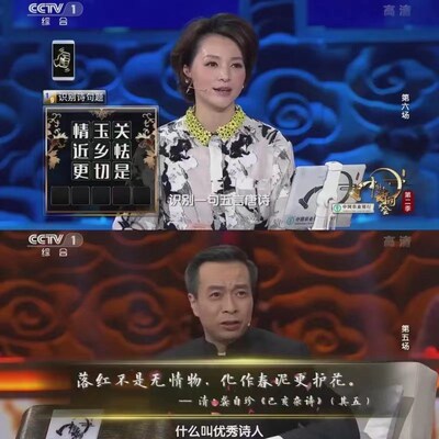 中国诗词大会全套盘1-8季高清视频文化节目手机电视脑网车载优盘