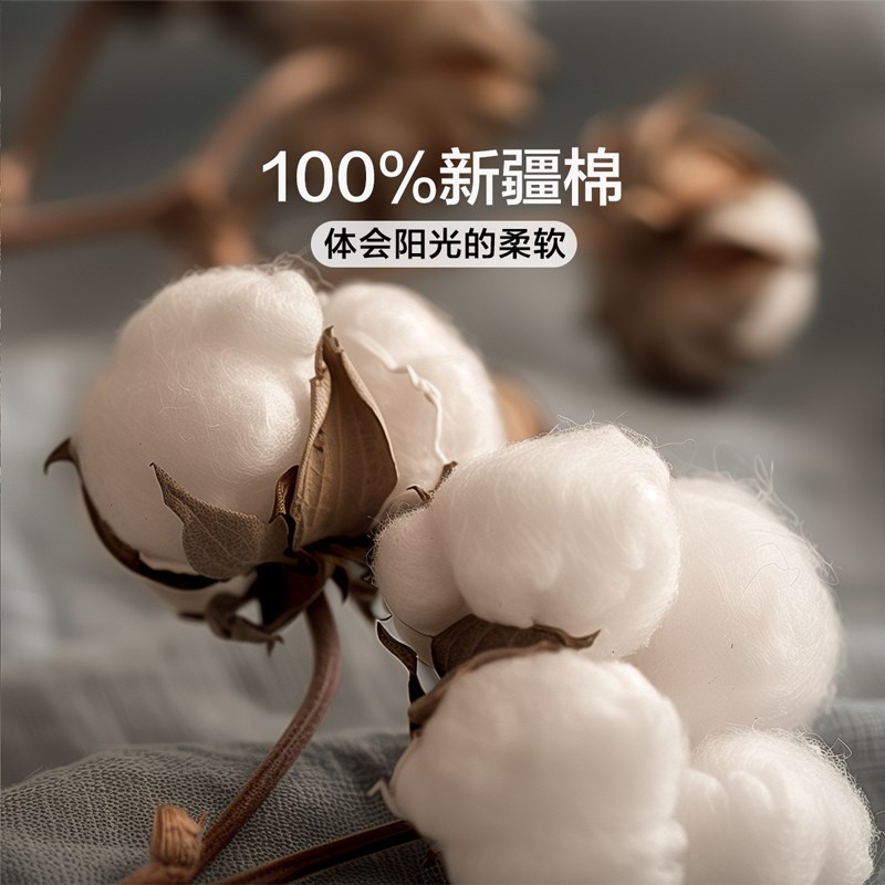 家纺100%纯棉全棉床上四件套学生宿舍新品床单被套床上用品