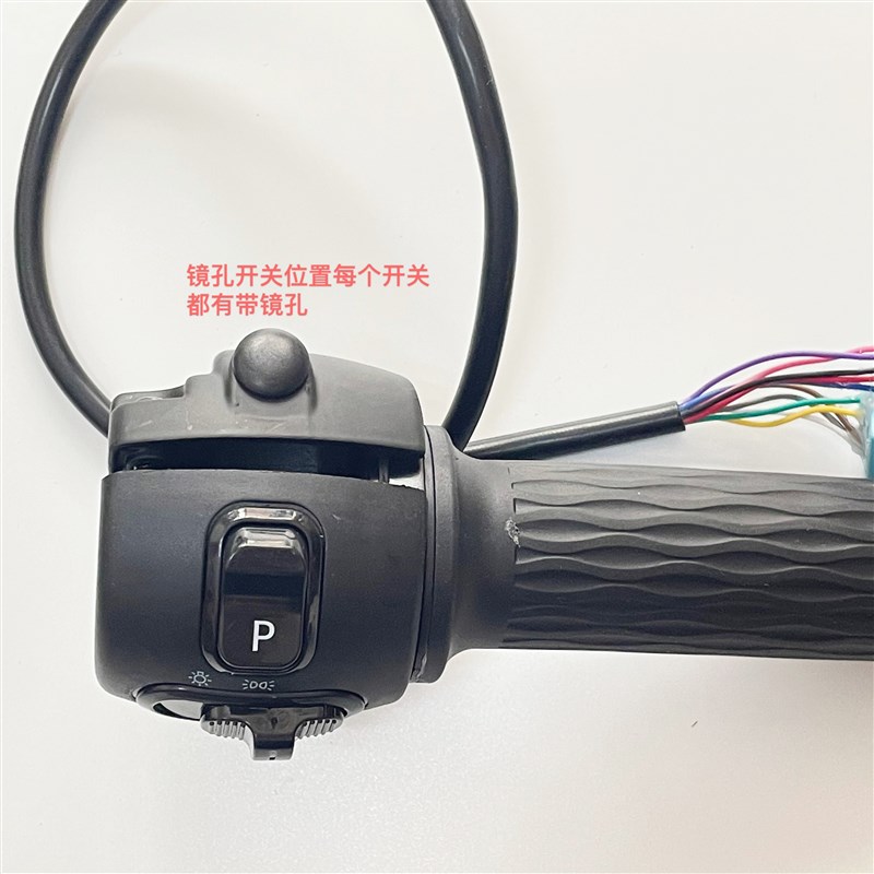 爱玛电动车踏板车电瓶车蕾拉大迪欧N300左右组合开关油门连体转把
