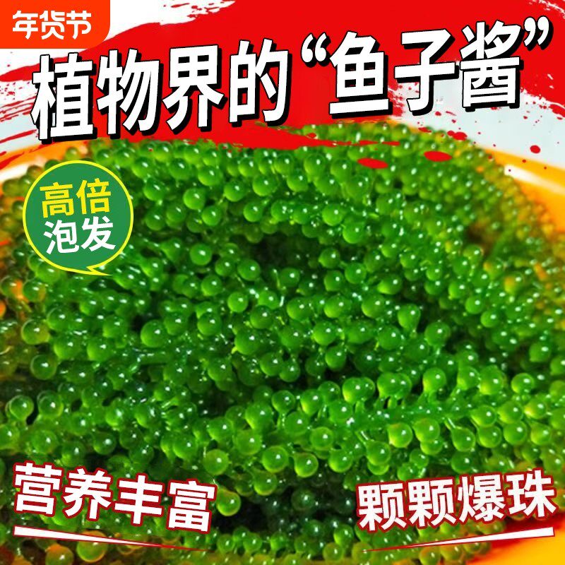 海葡萄即食盐渍海带海洋蔬菜绿色鱼子酱海藻凉拌菜寿司涮火锅食材