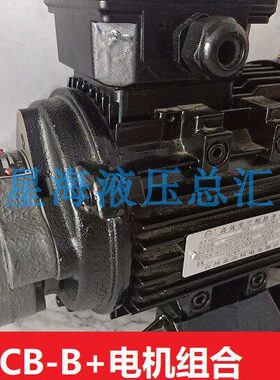 0.37KW锯床电机泵组  0.55KWCB-B6/B10/B4/B2.5齿轮JZ润滑CBW