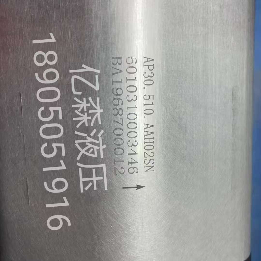 国产替代BLUE ASCEND土耳其AP30/AP20系列齿轮泵AP30.510.AAH02SN