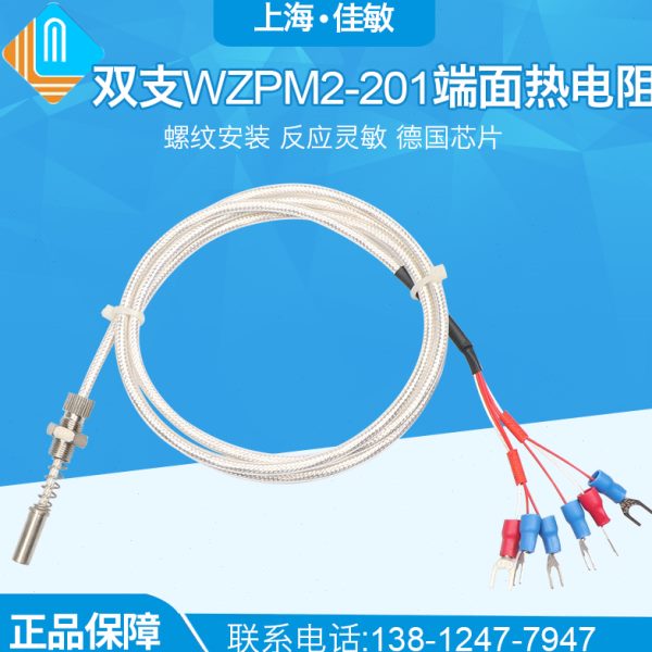 上海自动化仪表三厂端面热电阻WZPM-201 PT100双支六线 WZPM2-201