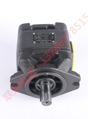 HG0/HG1/HG2-13 16 25 32 40 50 63-01R-VPC内啮合齿轮泵厂家现货