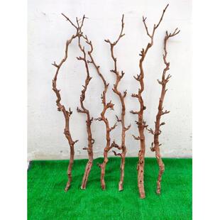 天然去皮白树枝壁挂装饰干树枝 树枝装饰原木艺术枯枝枯木树干