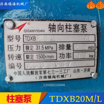 济南镇海机械厂轴向柱塞泵TDXB16/20/25/32/40/50/63/80/100M/L R