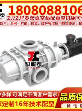 中山上海阳光罗茨真空泵ZJY30/70/150/300/600A真空负压机组维修