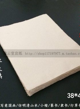 38*48明清古纸仿古皮纸传统手工加厚半生熟小楷篆隶书法写意宣纸