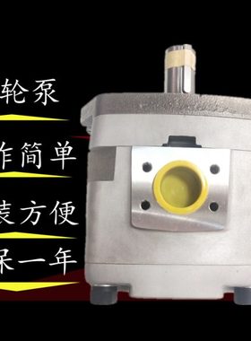 不二越油泵IPH-3B/4B/5B/6B-16/20/25/32/40/50/64/80/100/125-11