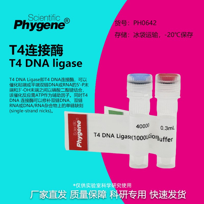 T4 DNA连接i酶T4 DNA连接酶T4连接酶40000 U PH0642