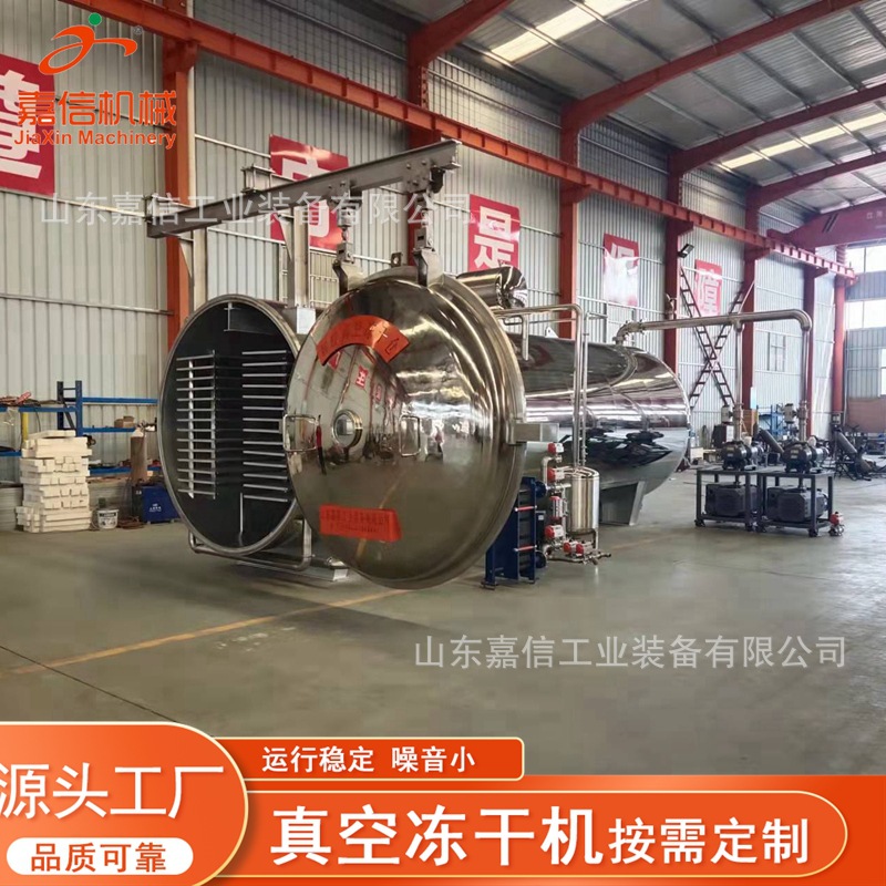 真空冻干机 菠萝蜜榴莲冷冻真空冻干干燥机 燕窝真空冻干设备厂家