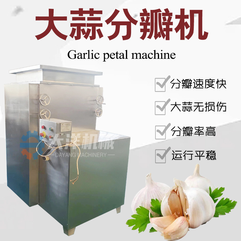 大洋机械大蒜分瓣机蒜米无损伤不锈钢材质分瓣均匀蒜头破瓣的设备