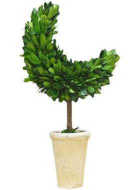 馨颜植创意手工桌面摆件家居装饰品客厅室内绿植圣诞节月亮树礼物