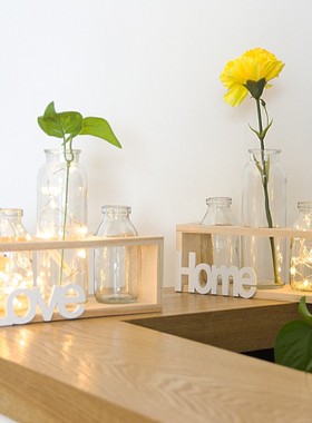 创意绿萝水培植物玻璃瓶小清新花瓶摆件客厅办公室插花桌面小摆设