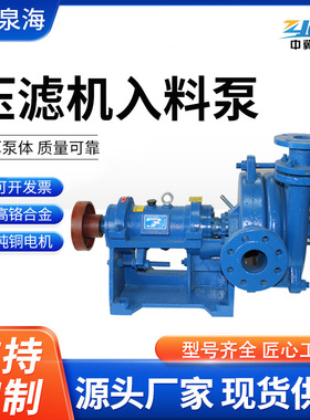 厂家定制压滤机入料泵ZJW系列矿用渣浆泵洗煤厂高扬程泥浆抽沙泵