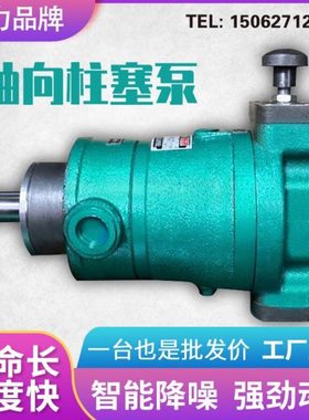 10SCY16SCY25SCY32SCY40SCY63SCY80SC160SCY-1B启东轴向柱塞泵