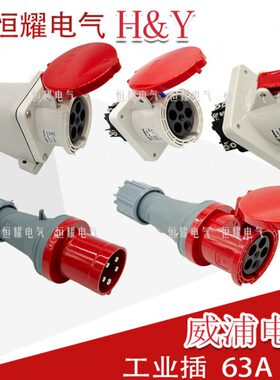 威浦工业插头插座5芯63A插头明装暗装连接器TYP645TYP2923连接器