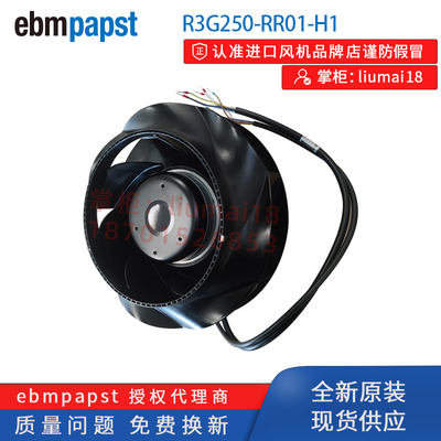 R3G250-RR01-H1德国ebmpapst风机