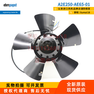 A2E250-AE65-02/01/18德国ebmpapst风扇外转子散热轴流风机230V