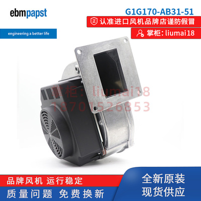 G1G170-AB31-51德国ebmpapst风扇