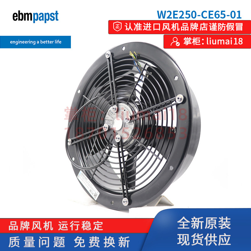 W2E250-CE65-01/02德国ebm风扇