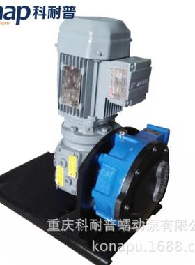 重庆KNP10立式软管泵小流量微型软管泵厂家