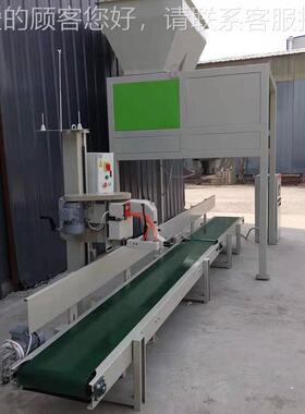 53880kg 双工位包秤 能稳定 操作装简单  双斗定量包装秤包装性机